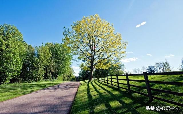 人老了，有这三个特征，说明你命好的不得了，占上一个都能偷着乐