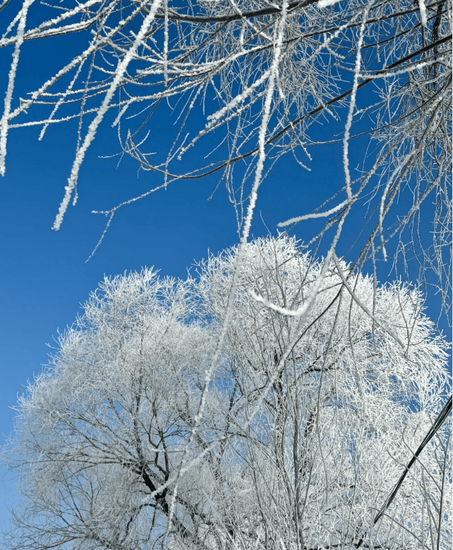 哈尔滨旅游攻略