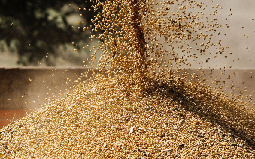 特朗普登机访华前，美方抢先一步通告全球，中国已买800万吨大豆