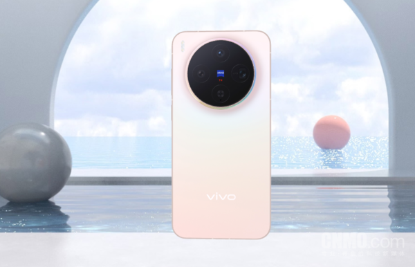 vivo X300