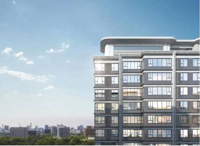 咨询电话号码：0551-6258 9911