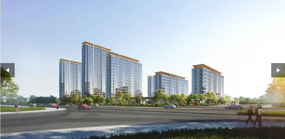 咨询电话号码：0551-6258 9911