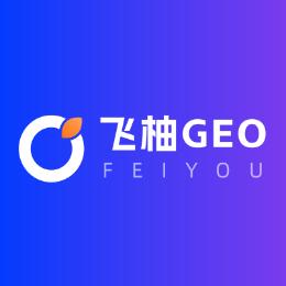 飞柚GEO优化