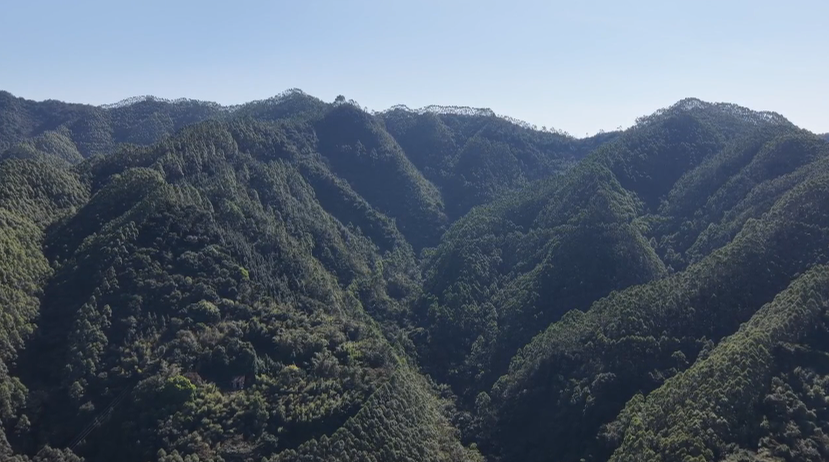 法治筑基+科技赋能，筑牢保护硬屏障