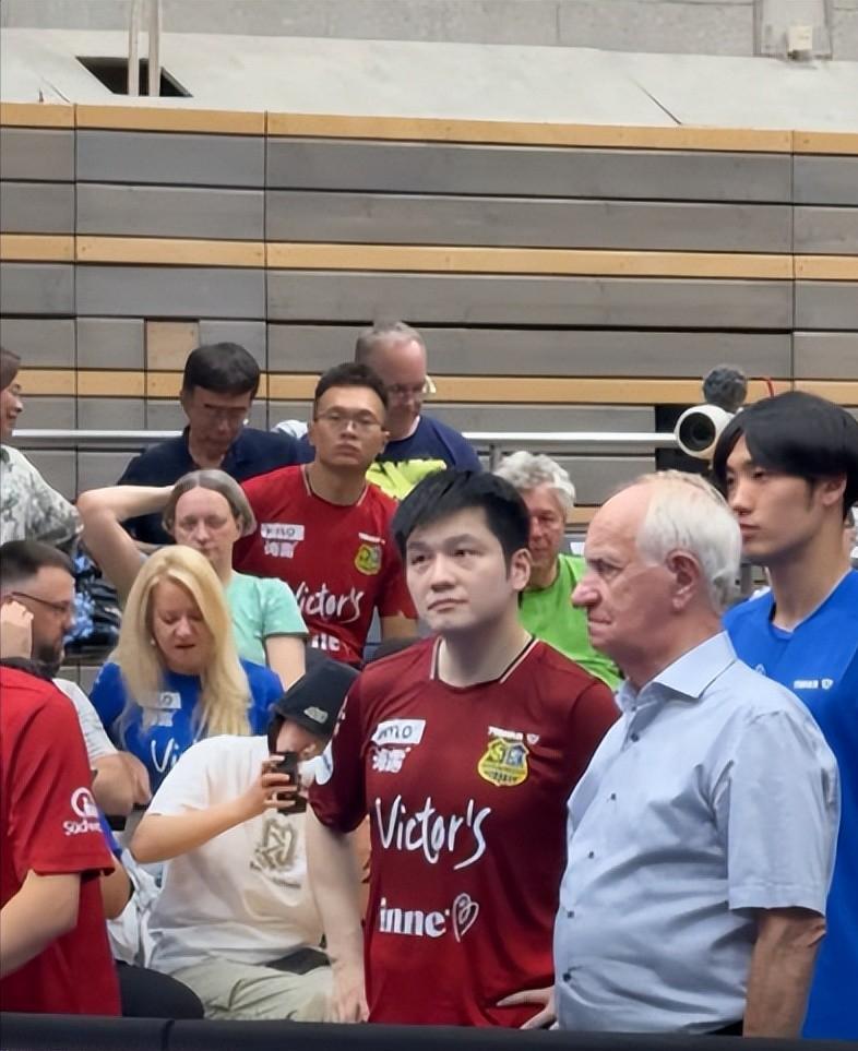 留洋夺冠两天后，樊振东德国俱乐部续约条件曝光，德甲给足了体面