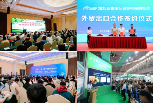 博览会往届照片