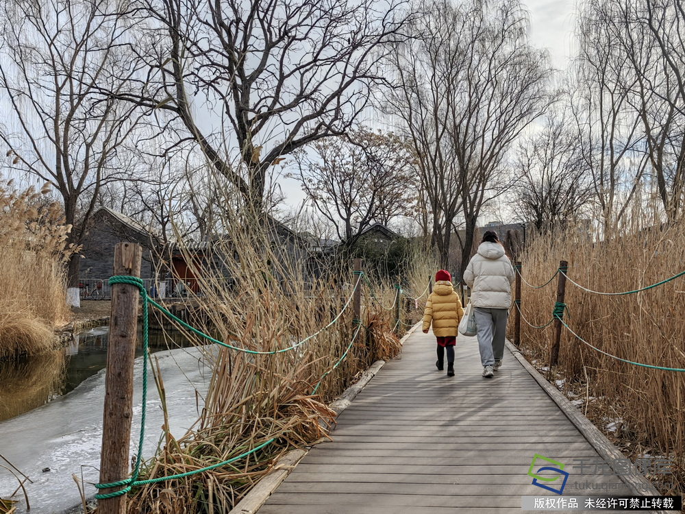 芦苇立在结冰的河面，枯茎疏影，市民漫步其间，别有韵味。千龙网签约摄影师乔健摄 
