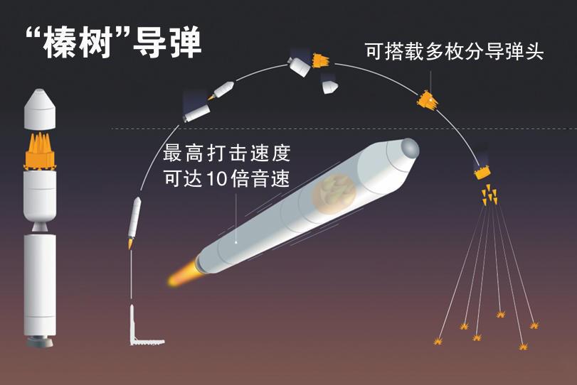 榛树导弹结构示意图