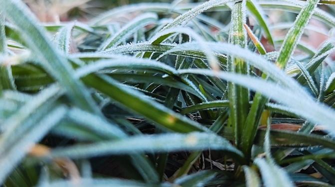 今早最低-5.2℃！周末气温跌回个位数…