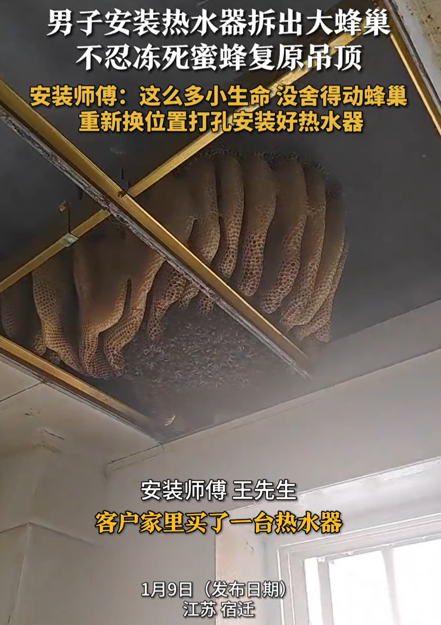 头皮发麻！居民家现巨型蜂巢，师傅犹豫后决定共存