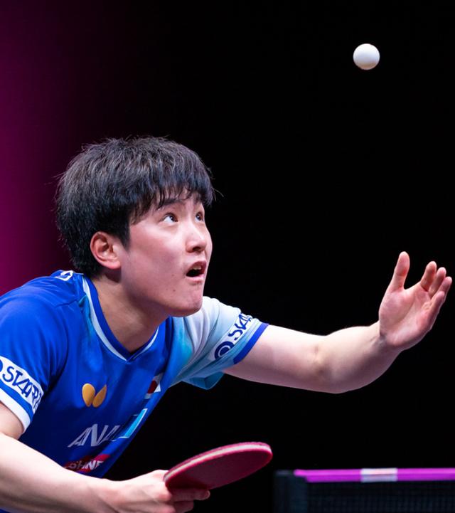 网友热议张本出局：这次成绝对夺不了冠了 中国人为中国人点赞！