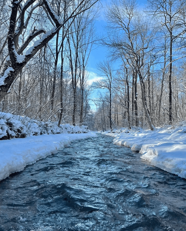 哈尔滨旅游攻略