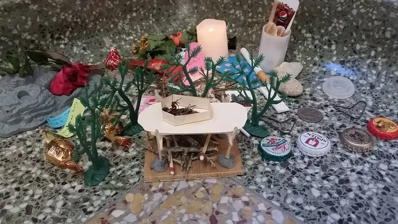 举行隆重葬礼的蟑螂（其他案例）