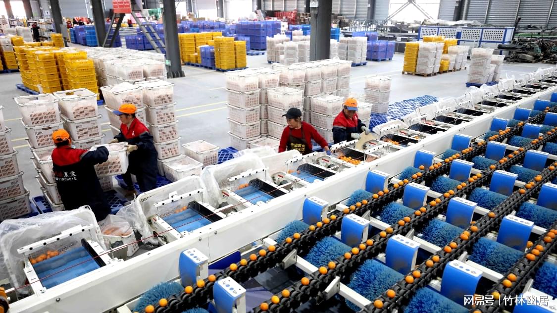 工人在智能光检分拣机前忙碌。（覃庆和 摄）