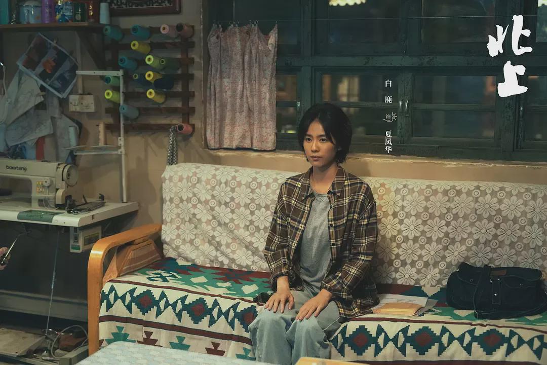 文学作底、地域为脉：2025年现实主义题材剧集的“时代镜像”