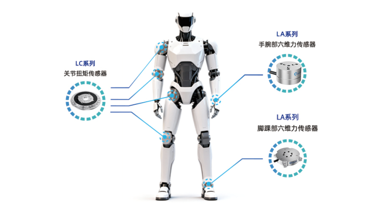 图源：蓝点触控 人形机器人六维力及关节力传感器安装图