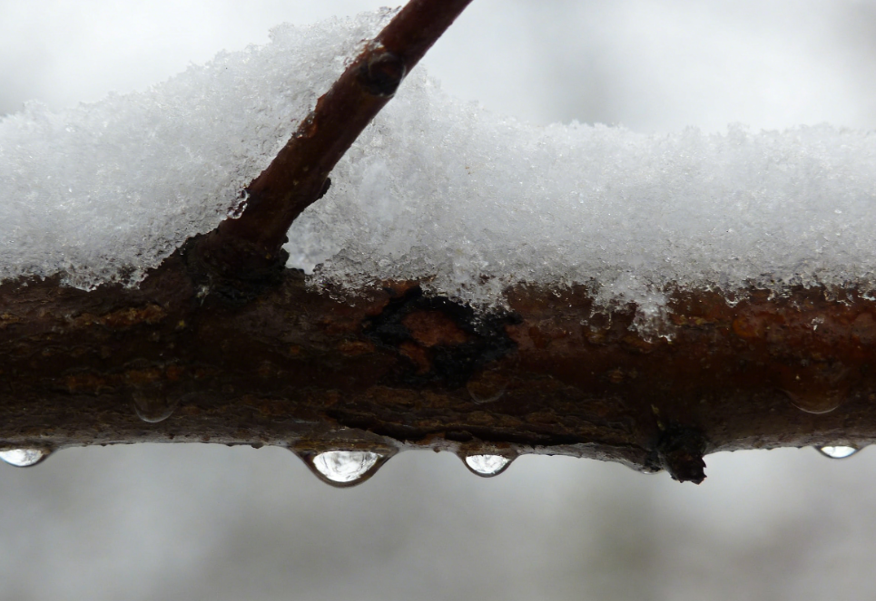 四九最该吃的 “暖身菜”：不是萝卜白菜，是这菜！鲜香入味
