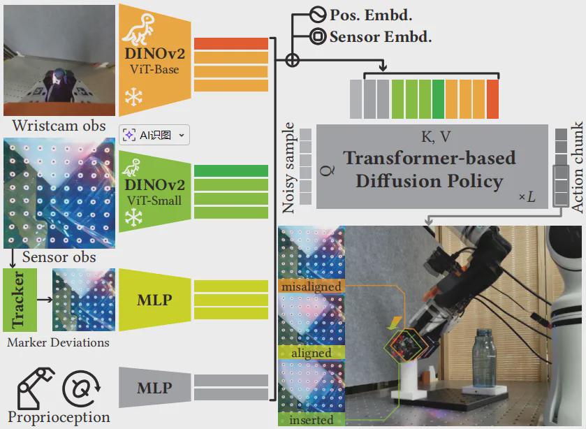 TacThru-UMI 的扩散策略架构