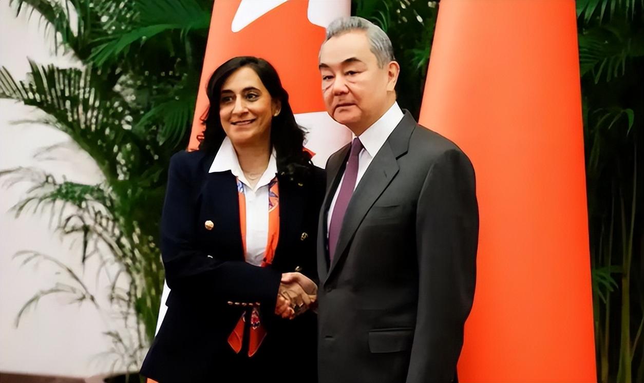 中加外长握手合影