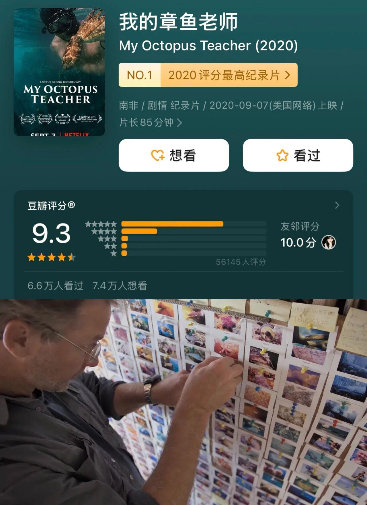 最近最火的，是这只狼？