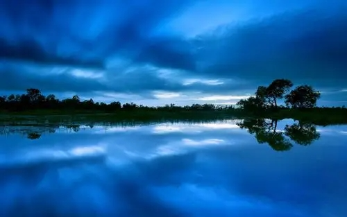 许厉雯柳昌资许厉雯柳昌资--却看见柳昌资和姜念念站在店门外