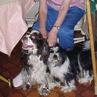 心有星辰眼见光明