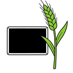 乡野农技小课堂