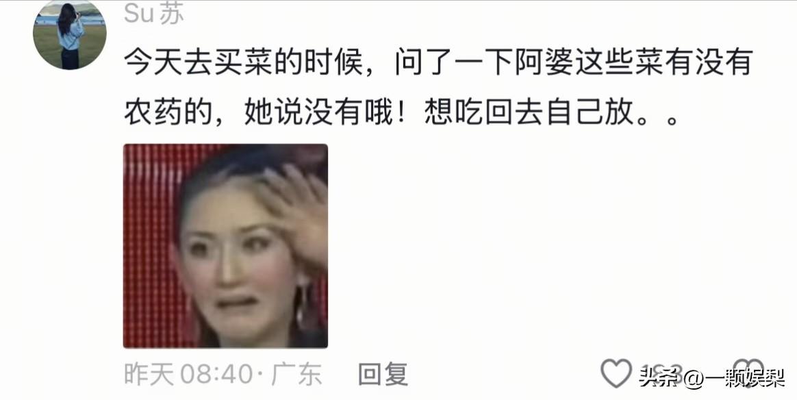 东北人有多幽默？网友: 下车忘解安全带，司机问是不是要把车背走