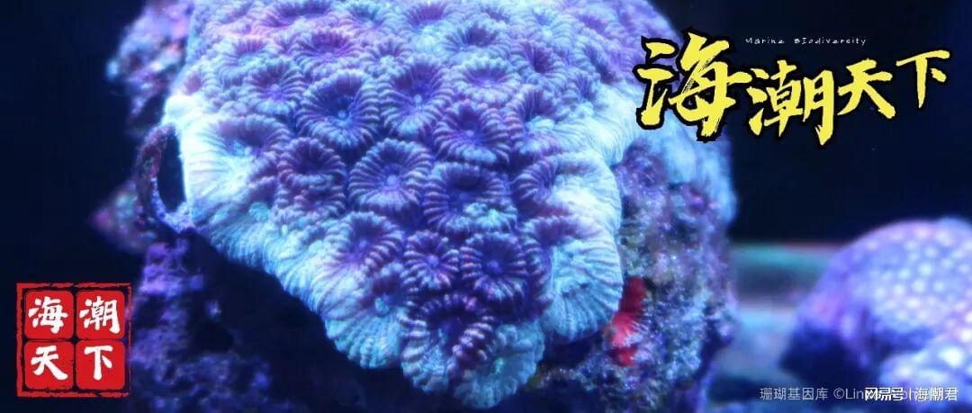 （注：本文仅代表资讯。不代表平台观点。欢迎留言、讨论。）