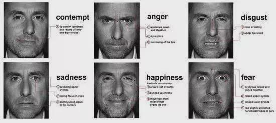 豆瓣8.8分的神剧，一秒看穿谎言，微表情探案！