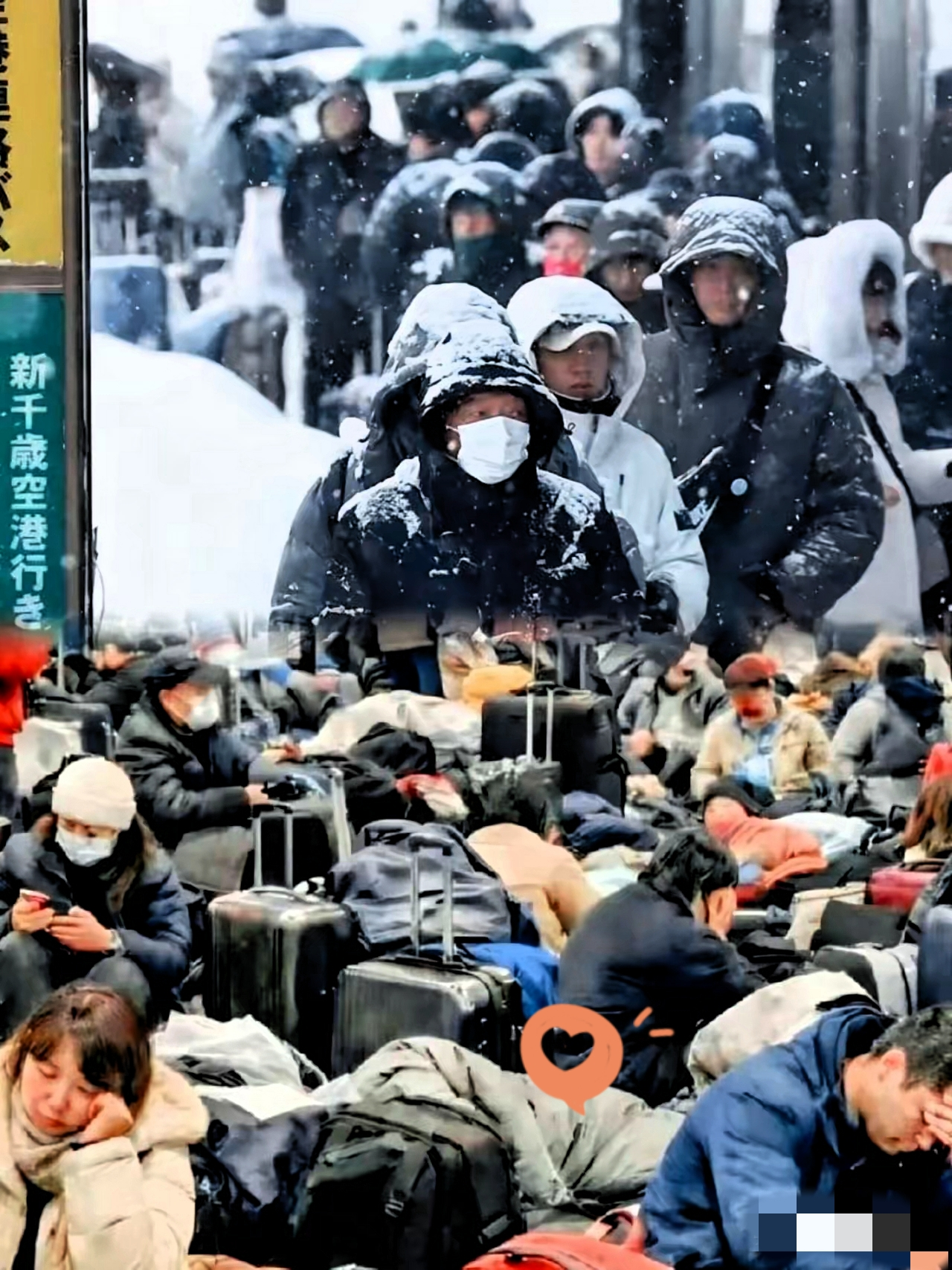 看到北海道那帮游客喊着要中华“包机接回”，真是把大牙都笑掉了