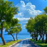 有态度的网友19qo1u