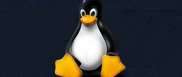 “完全是垃圾！”Linus 炮轰Linux MMC代码更新：连编译都过不了，测试根本没做