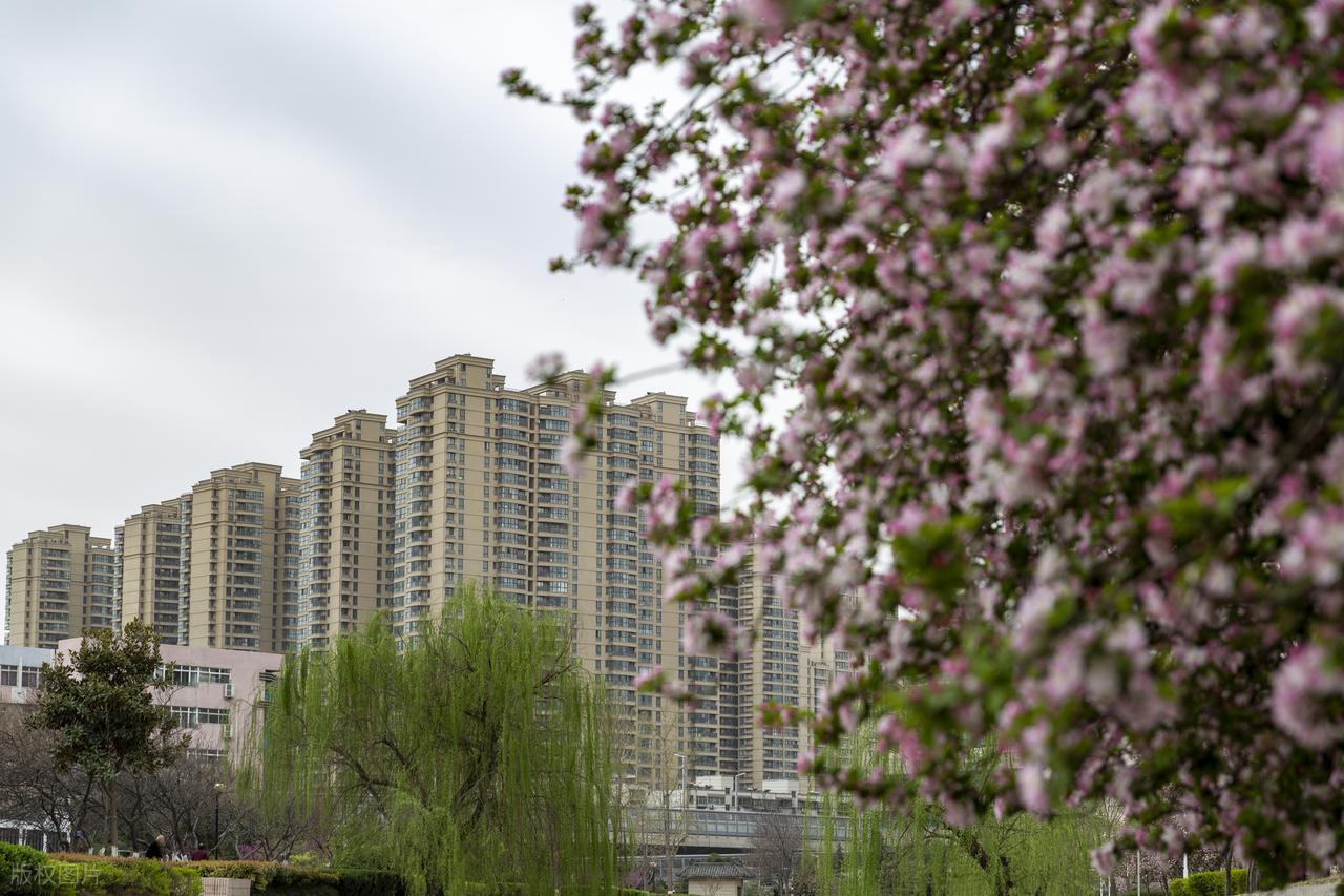 烟火锋芒 1：闺蜜婚礼，低调同行