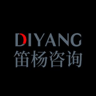 笛杨咨询企业服务