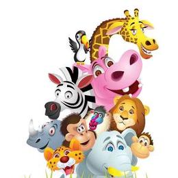 闽睿解说动物世界