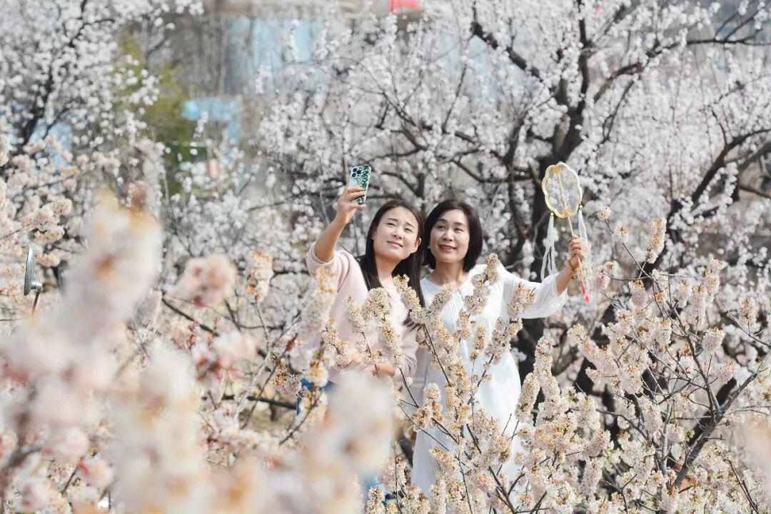 △山东日照，游客踏青打卡。