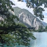 道闸车牌识别销售