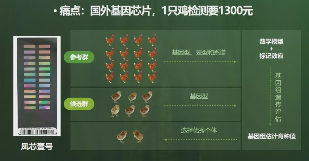 图片来源：正高级畜牧师吴桂琴在 2025 科普中国说丰收节专场活动