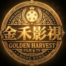 金禾影視