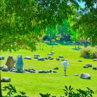 分享生活中的小事