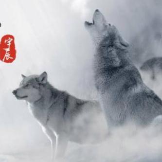 霸者无敌
