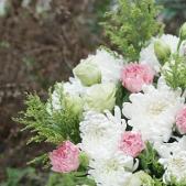 一个专业的小小博主