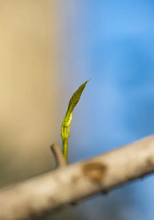 你出生的时辰，早已注定了你一生的轨迹，只是你从未察觉