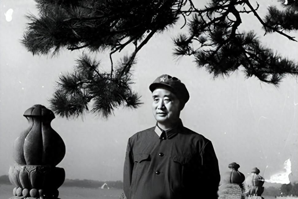 许世友怒斥师长：我不是和你商量，师长：罢官坐牢随便，就是不放