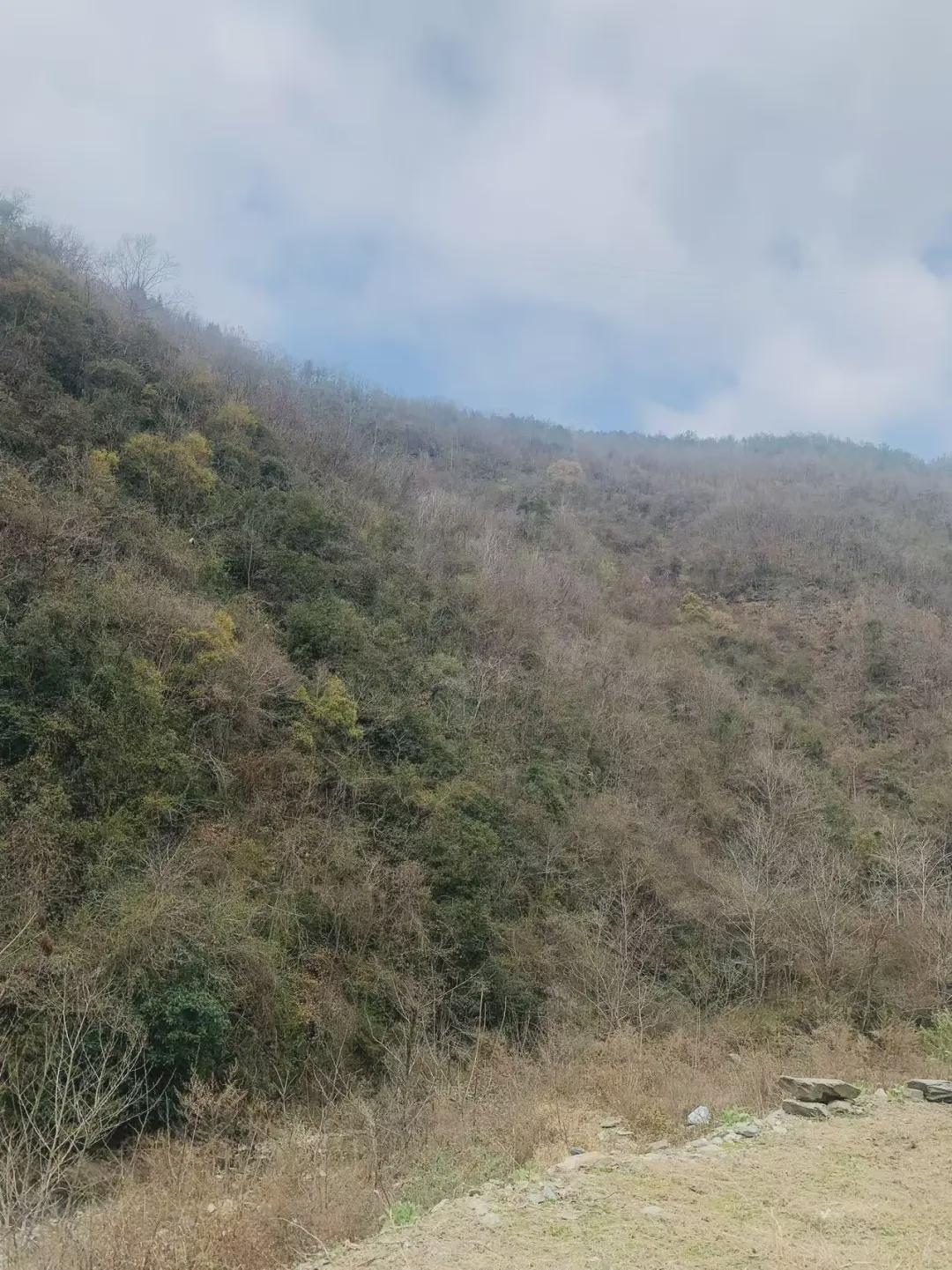 少年时的我，喜欢睡在春天里