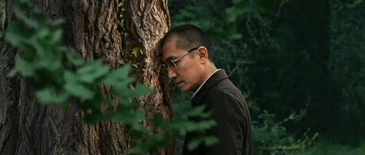 梁朝伟饰演的王博士，研究一棵银杏树，用传感器接收树的“信号”