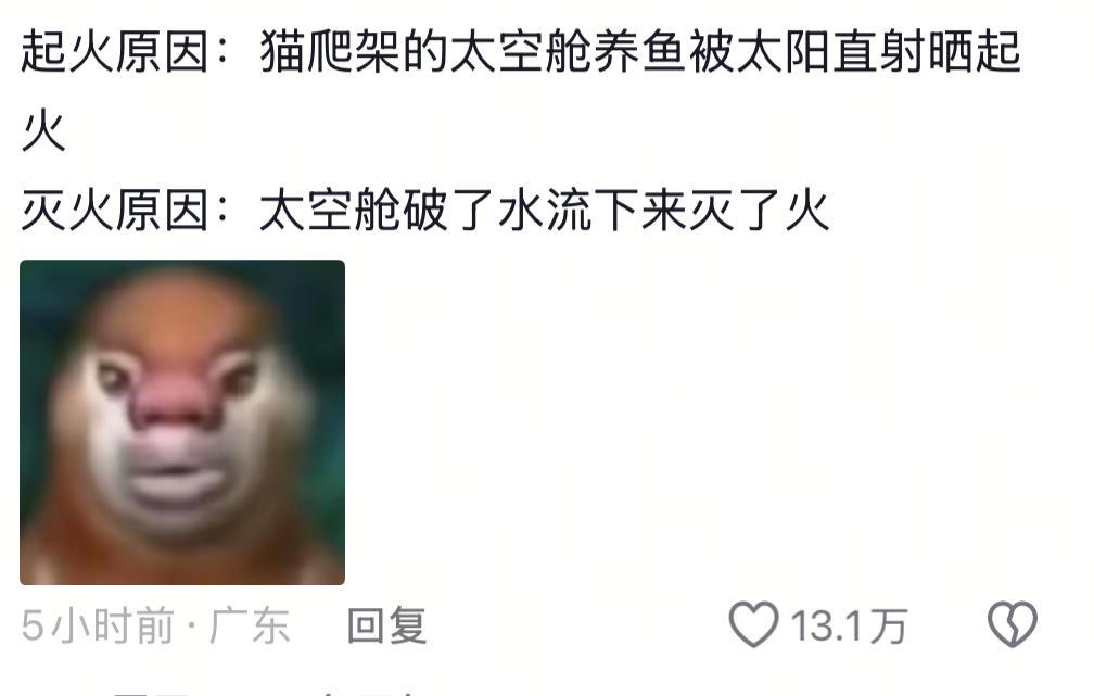 网络截图。