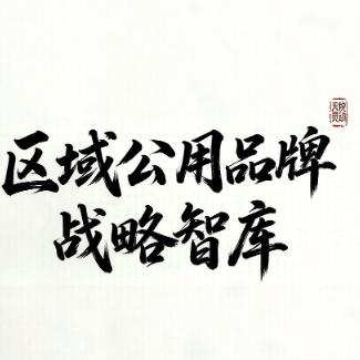 天锐灵动区域公用品牌战略智库