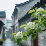 高教经纬